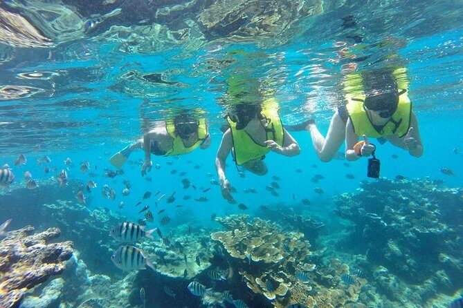 Puerto Plata Shore Excursion, Snorkeling tour & Sosua Beach Day - Sosúa Beach afterward: sun chairs, swimming, and people-watching