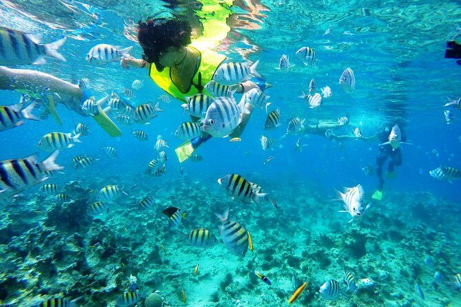 Puerto Plata Shore Excursion, Snorkeling tour & Sosua Beach Day - The port-to-Sosúa drive: quick start, not a long commute