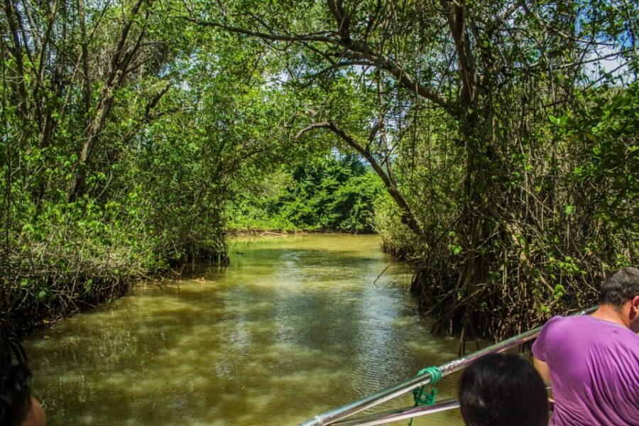 Punta Cana: 3-in-1 Adventure Haitises Park Waterfall Montaña - Who Should Book It (and Who Might Want a Different Plan)