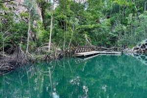 Punta Cana 3in1 Adventure: Los Haitises Park, Waterfall & Montaña - Montaña Redonda: The 360° Stop (And Those Famous Swings)