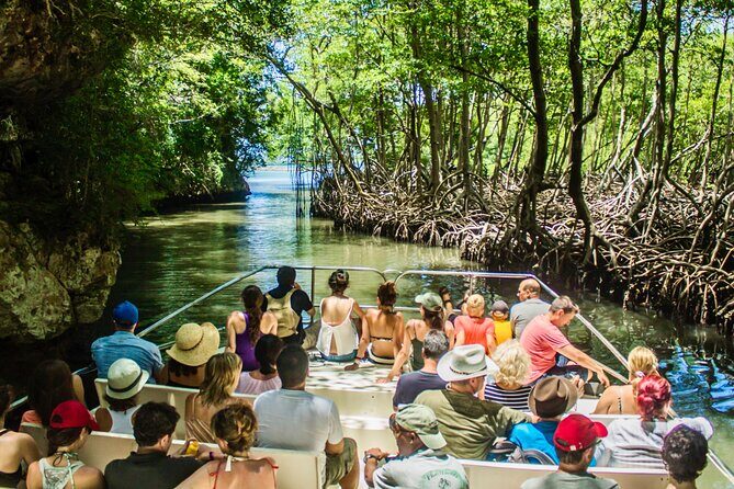 Punta Cana 3in1 Adventure: Los Haitises Park, Waterfall & Montaña - Yanigua Waterfall: Swim Time, Cocoa/Chocolate, and a Clay SPA Moment