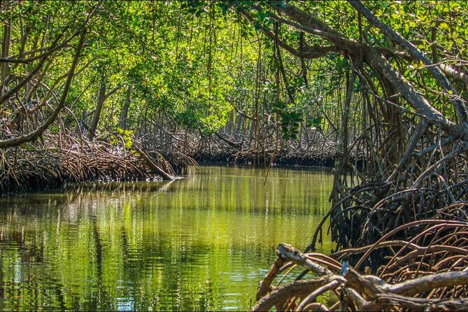 Punta Cana 3in1 Adventure: Los Haitises Park, Waterfall & Montaña - The Drive Between Stops: Where the Guide Makes or Breaks the Day
