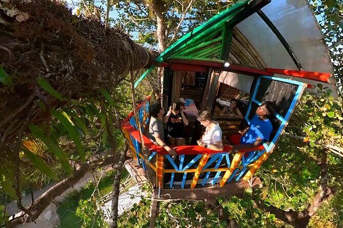 Punta Cana 3in1 Adventure: Los Haitises Park, Waterfall & Montaña - Food, Drinks, and the Dominican Lunch Moment