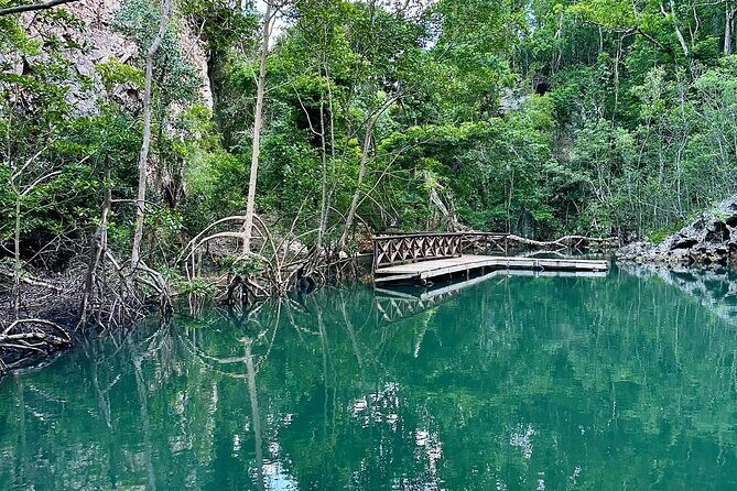 Punta Cana 3in1 Adventure: Los Haitises Park, Waterfall & Montaña - Montaña Redonda: The 360° Stop (And Those Famous Swings)
