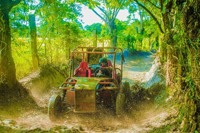 Punta Cana 4 Hours Buggy Tour Cave Macao Beach Free Pick Up - Key points I’d bank on