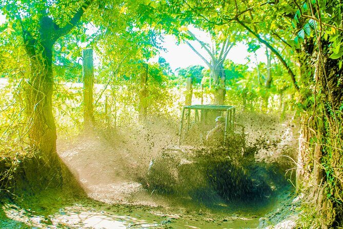 Punta Cana 4 Hours Buggy Tour Cave Macao Beach Free Pick Up - Cueva Taína cenote swim: stalactites, stairs, and water rules