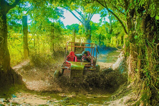 Punta Cana 4 Hours Buggy Tour Cave Macao Beach Free Pick Up - Macao Beach time: make the most of 20 minutes
