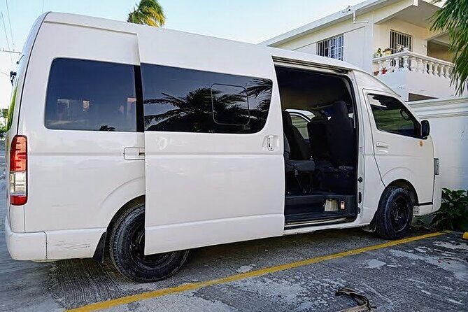 Punta Cana Airport Shuttle to or from Airport - Meet-and-Greet and Flight Tracking: What Reduces Waiting Time