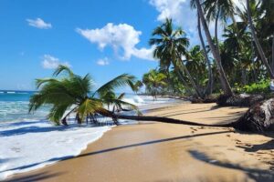 Punta Cana: Amazing ATV Adventure Private Road & Beach W/ PickUp - Pickup and Getting to the Ranch (What Your Day Looks Like)