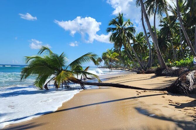 Punta Cana: Amazing ATV Adventure Private Road & Beach W/ PickUp - Pickup and Getting to the Ranch (What Your Day Looks Like)