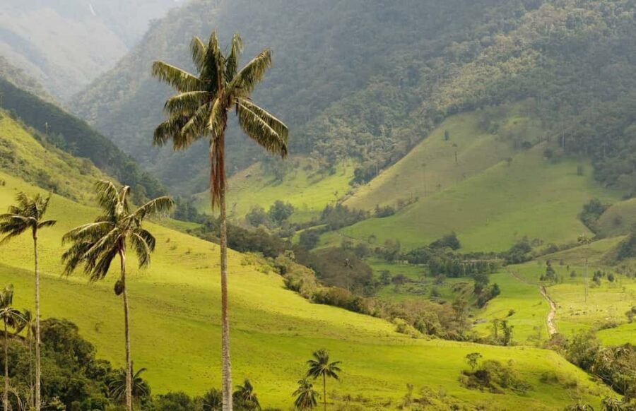 Punta Cana: Anamaya Mountains Walking Tour with Tasting - Monte Plata countryside from Punta Cana: why this tour feels different