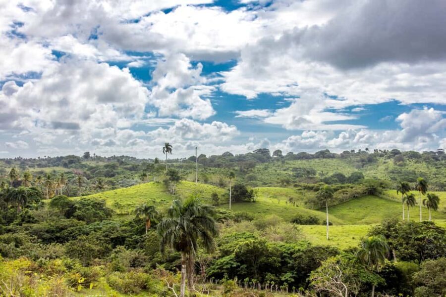 Punta Cana: Anamaya Mountains Walking Tour with Tasting - Is it worth $49? What you get, and where the value shows