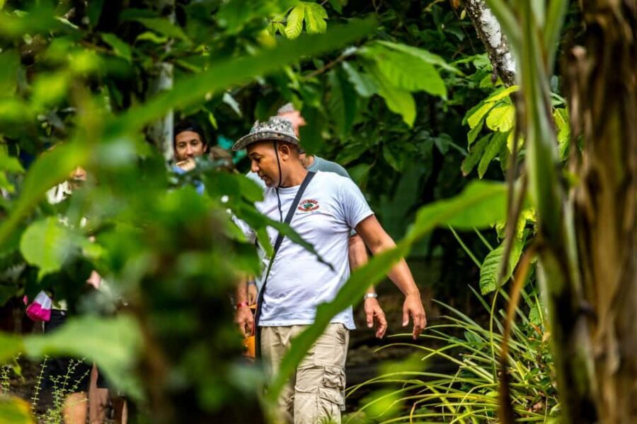Punta Cana: Anamaya Mountains Walking Tour with Tasting - The 4-hour flow: pickup, ranch welcome, trek, and the river time