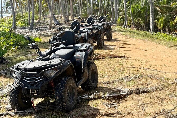 Punta Cana ATV: Jungle, Beach & River Small Group Tour - Playa La Vacama swim: the best reason to come