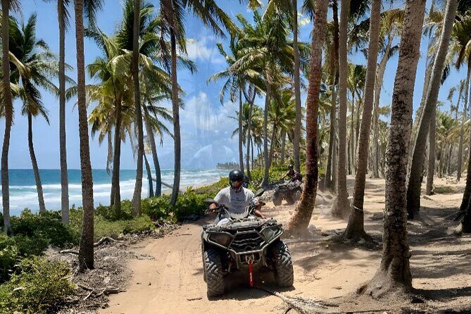 Punta Cana ATV: Jungle, Beach & River Small Group Tour - Punta del Coco palm grove: ocean views plus fresh coconuts