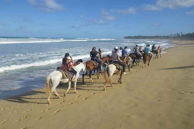 Punta Cana Beach Horseback Riding - Key Points You’ll Care About