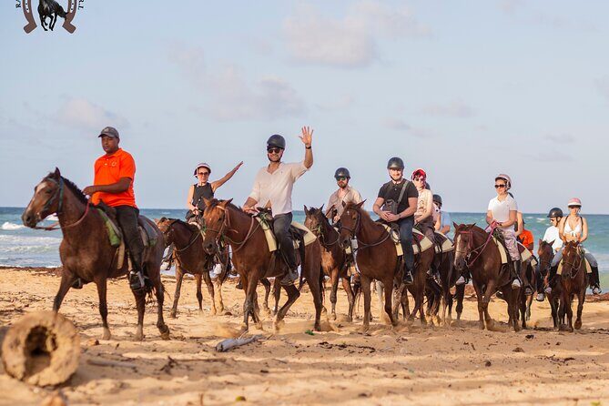 Punta Cana Beach Horseback Riding - The Coaching on the Beach: What You’ll Do Once You’re Riding