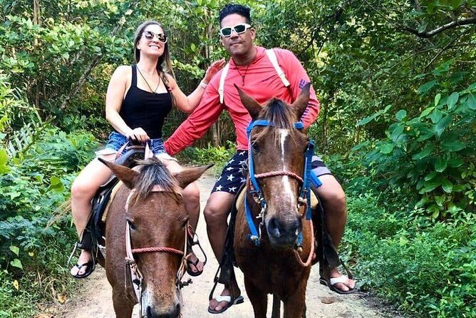 Punta Cana Beach Horseback Riding - The Coastal Route: Ocean Views That Actually Look Like Vacation