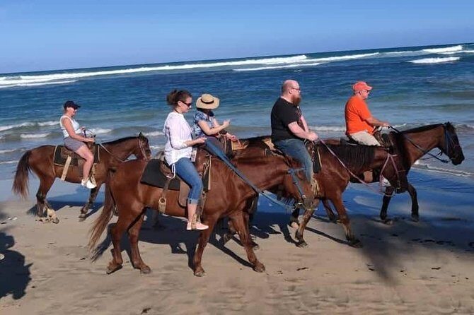 Punta Cana Beach Horseback Riding - The Maimon River Mouth Stop: The Moment You’ll Remember