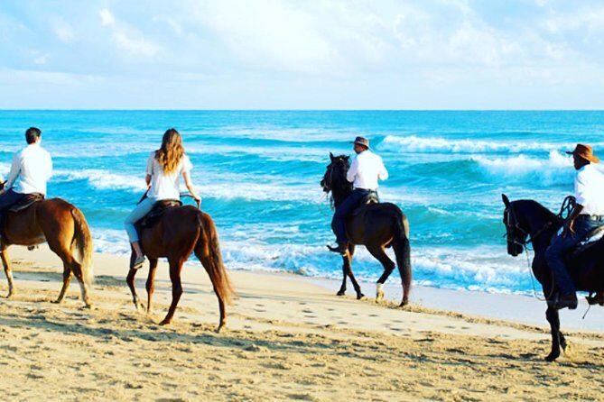 Punta Cana Beach Horseback Riding - Price and What $58 Gets You