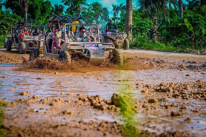Punta cana Boogie into the Jungle with Coffee and Chocolate Taste - Boogie into the Jungle: what you do in real life