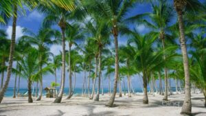 Punta Cana: Catamaran Boat to Saona Island with Buffet Lunch - From Punta Cana to Bayahibe: the ride that sets the tone