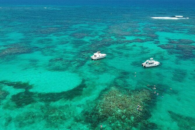Punta Cana: Catamaran Tour, Reef Snorkeling and Unlimited Drinks! - Key things that make this tour worth your time