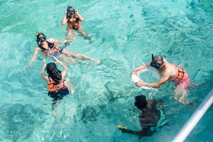 Punta Cana: Catamaran Tour with Reef Snorkeling and Open Bar - Snorkeling the Reef: Gear, Guide, and Shallow-Water Time