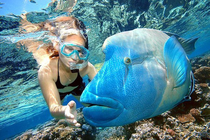 Punta Cana Combo Tour: Snorkeling, Catamaran Cruise & Parasailing - Key things to know before you book