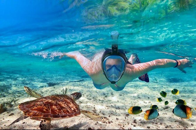 Punta Cana Combo Tour: Snorkeling, Catamaran Cruise & Parasailing - What to pack and what to avoid