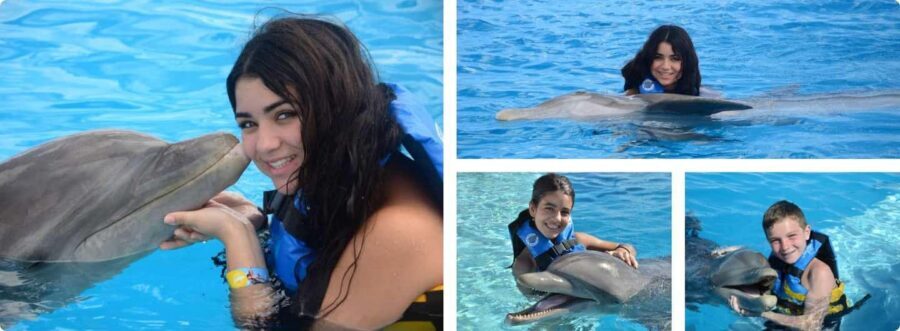Punta Cana: Dolphin Explorer Park Entry, Swim, or Encounter - Key things to know before you go