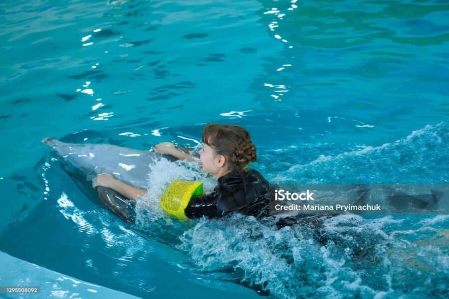 Punta Cana: Dolphin Explorer Park Entry, Swim, or Encounter - Price and value: what $140 buys you, and what it doesn’t