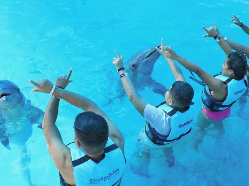 Punta Cana: Dolphin Explorer Park Entry, Swim, or Encounter - Dolphin Explorer in Punta Cana: what you’re actually buying