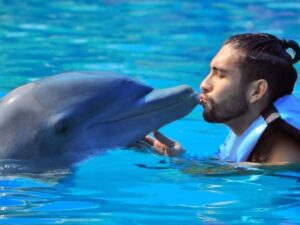 Punta Cana: Dolphin Explorer Park Entry, Swim, or Encounter - Your dolphin program options: entry, swim, or encounter
