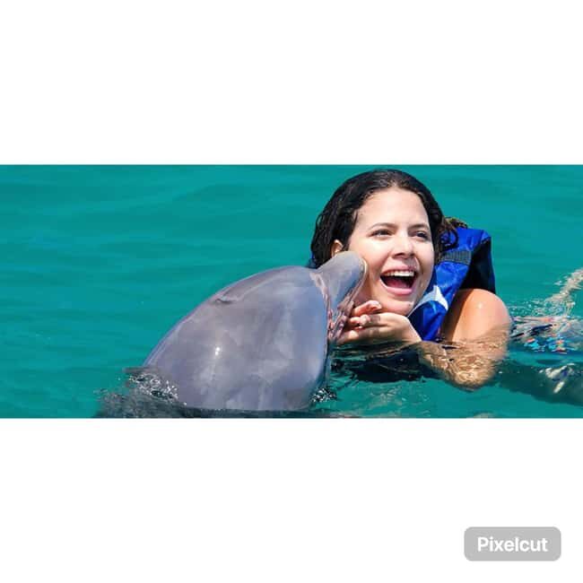 Punta Cana: Dolphin Explorer Park Entry, Swim, or Encounter - The games and contact moments you can expect