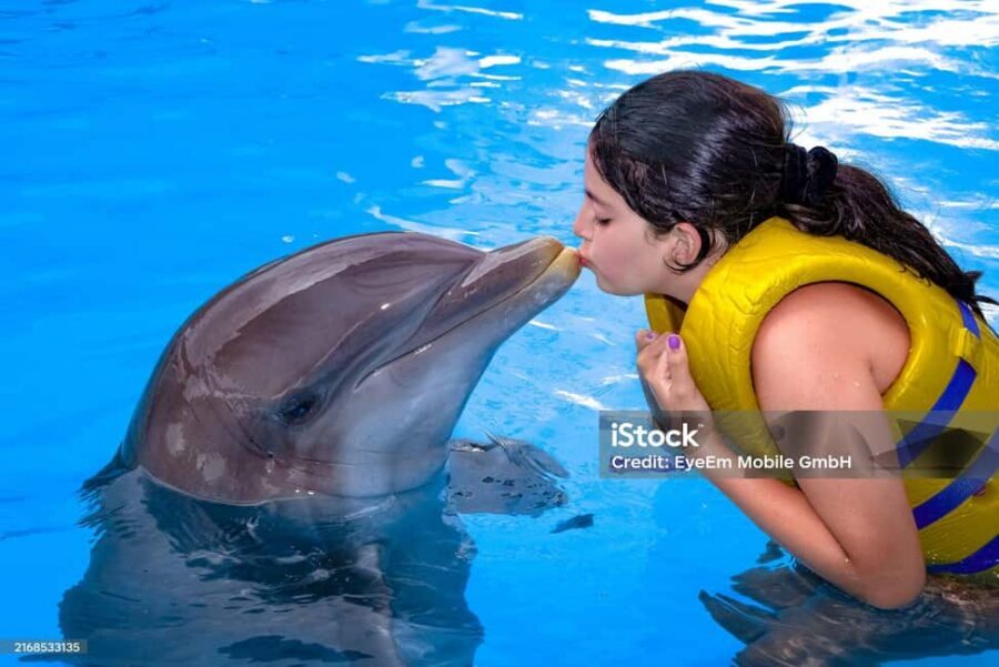Punta Cana: Dolphin Explorer Park Entry, Swim, or Encounter - Timing and how to handle the “waiting around” risk