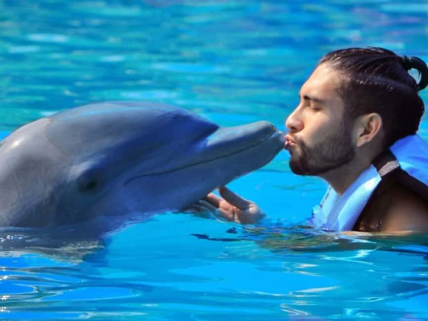 Punta Cana: Dolphin Explorer Park Entry, Swim, or Encounter - Your dolphin program options: entry, swim, or encounter