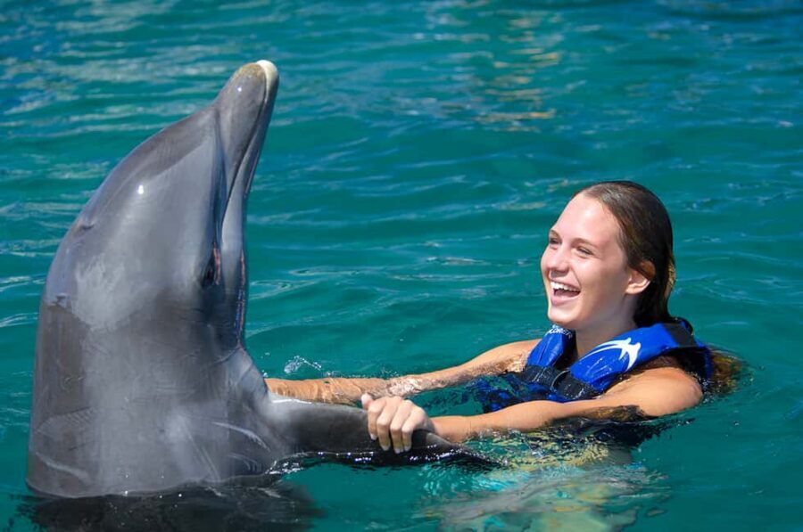 Punta Cana: Dolphin Explorer Swims and Interactions - Getting to Dolphin Explorer: pickup, lockers, and a no-photo environment