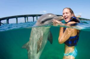 Punta Cana: Dolphin Explorer Swims and Interactions - What actually happens in the water: cues, kisses, and the foot push