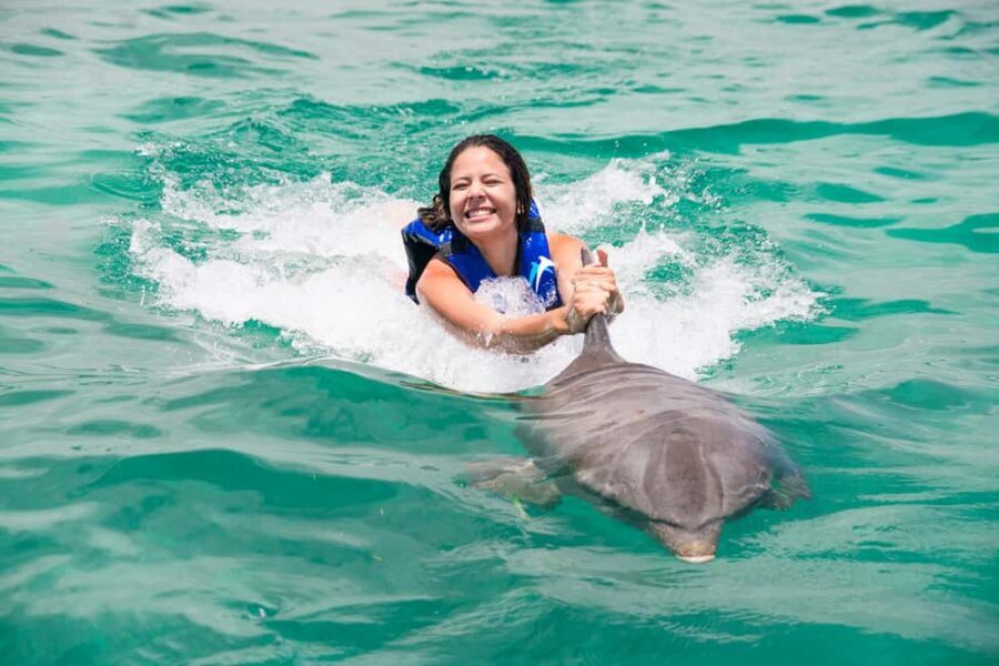 Punta Cana: Dolphin Explorer Swims and Interactions - Value check: is $120 really the price you should plan around?