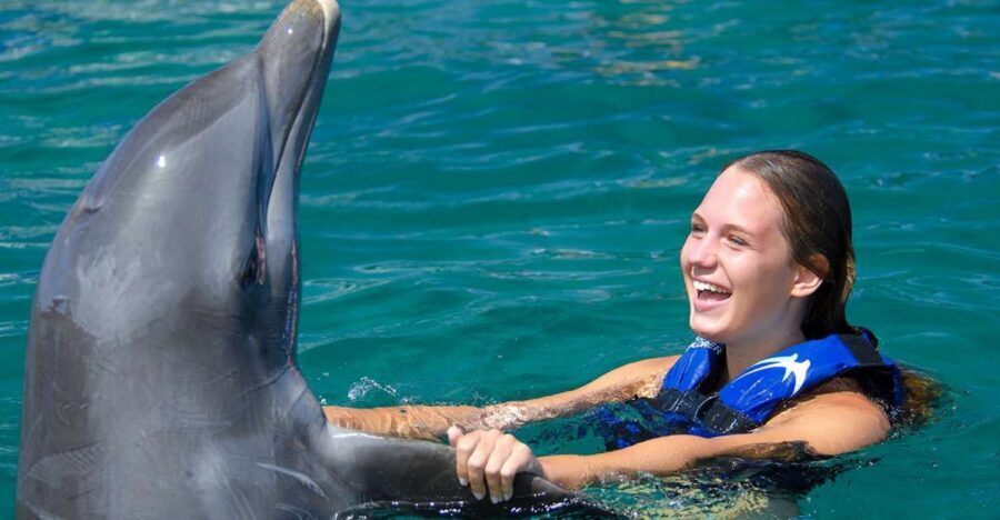 Punta Cana: Dolphin Explorer Swims and Interactions - Should you book Dolphin Explorer in Punta Cana?