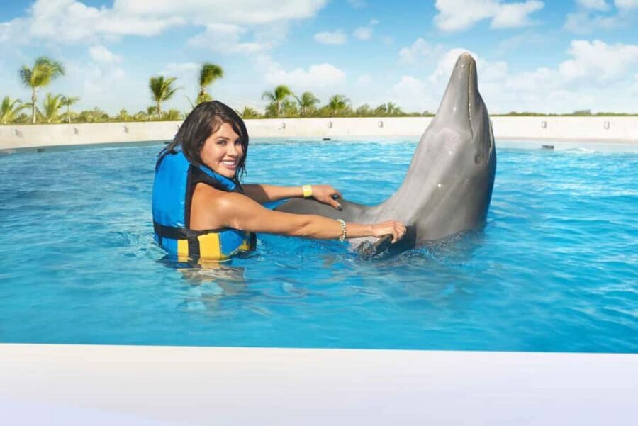Punta Cana: Dolphin Interaction Experience & Hotel Transfers - Key things that make this Punta Cana dolphin tour work