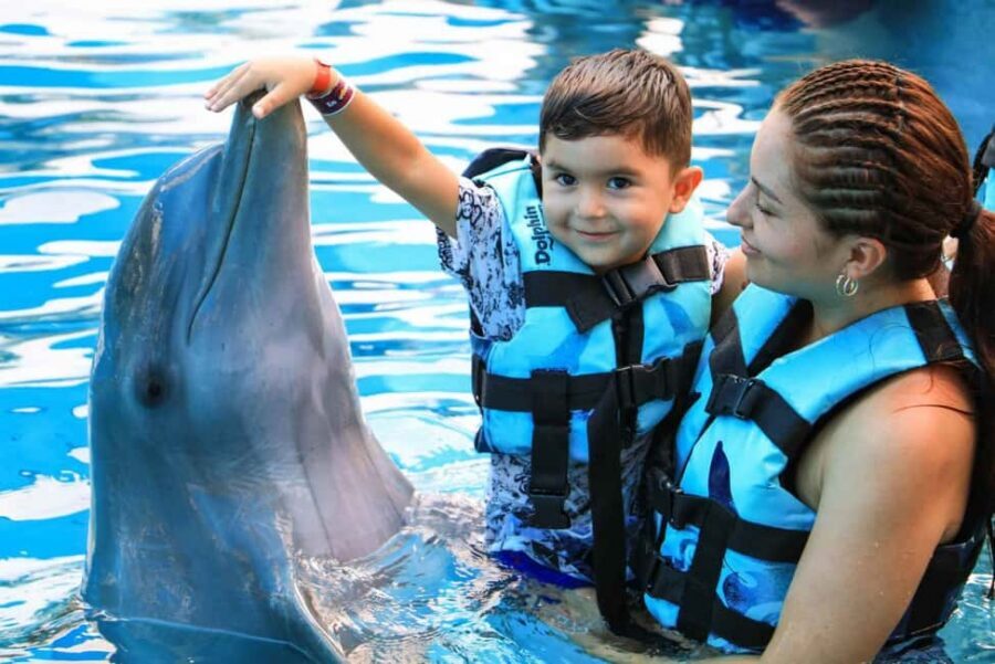 Punta Cana: Dolphin Interaction Experience & Hotel Transfers - From Punta Cana Hotel Pickup to Dolphin Park Arrival