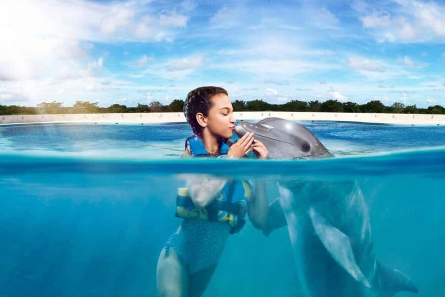 Punta Cana: Dolphin Interaction Experience & Hotel Transfers - The Ray and Shark Tank Stop: A Short Wildlife Bonus