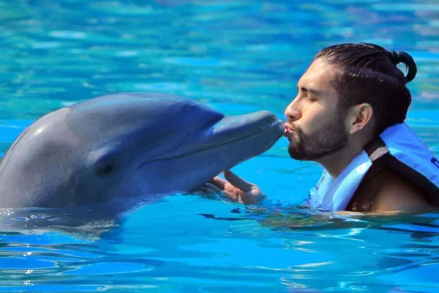 Punta Cana: Dolphin Interaction Experience & Hotel Transfers - Duration and Group Feel: What 4 Hours Really Means