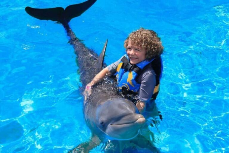 Punta Cana: Dolphin Interaction Experience & Hotel Transfers - Choosing Your Program: Platform Encounters, Kisses, and Royal Swims