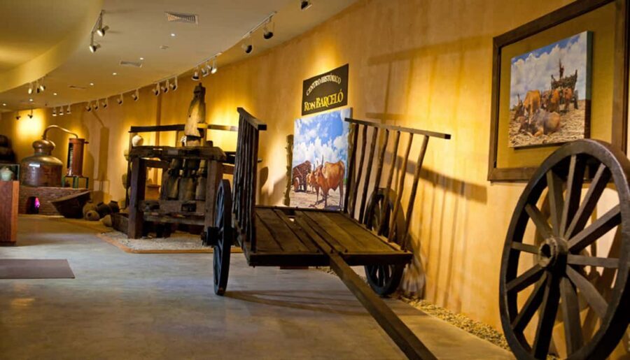 Punta Cana: Dominican Flavors Guided Day Trip - Fabrica Vega Fina: tobacco leaves to premium cigar wrappers