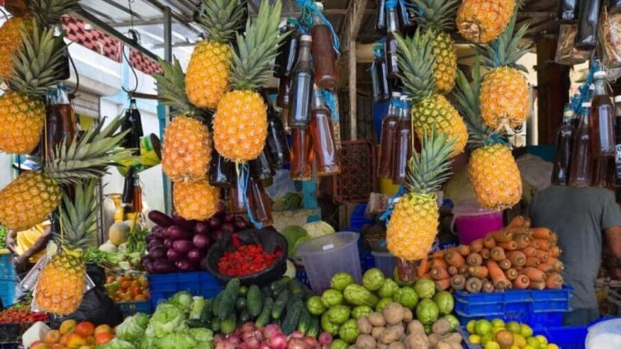 Punta Cana: Dominican Republic Culture Tour - The countryside farm stop: coffee, cocoa, vanilla, and fruit
