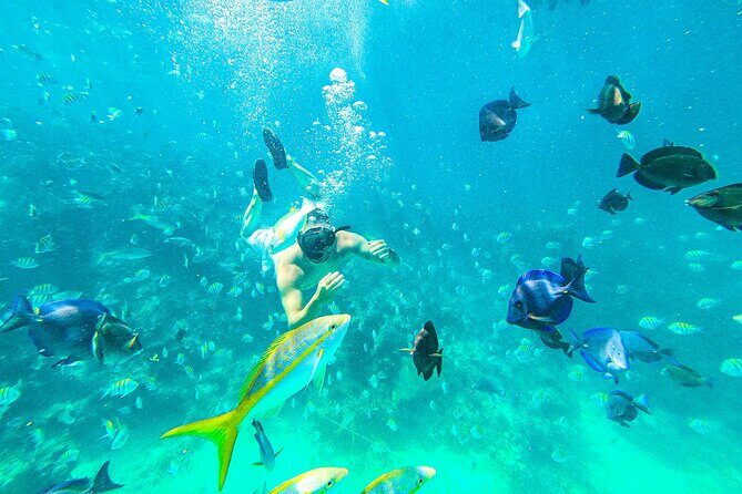 Punta Cana Exclusive Adults-Only Snorkel with Food and Drinks - Cap Cana snorkel day: what makes this one feel different