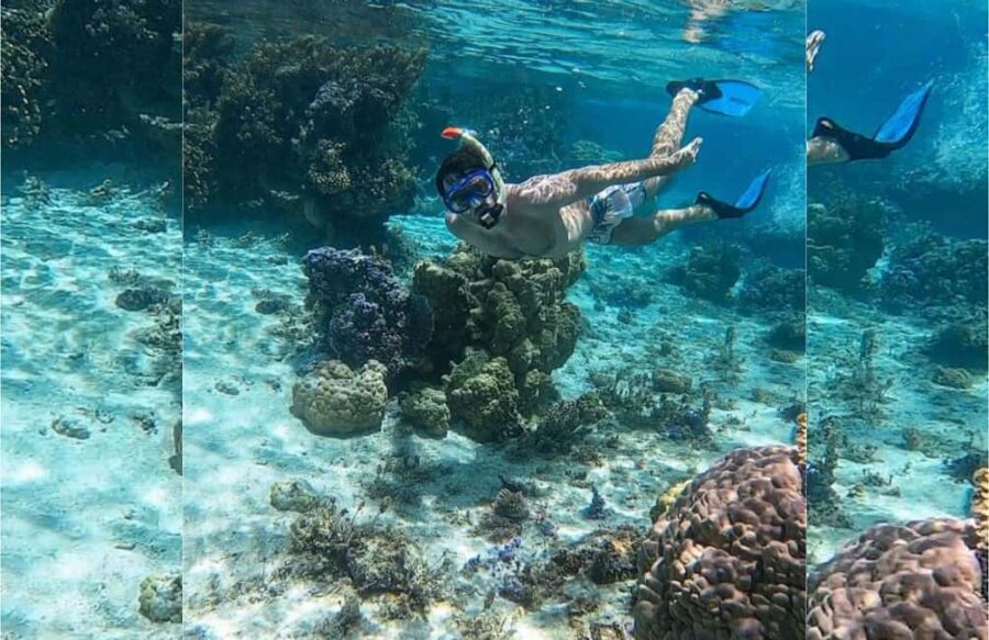 Punta Cana: Full-day Snorkelling Tour in Catalina Island - The Catamaran Ride: Getting There Without Feeling Rushed